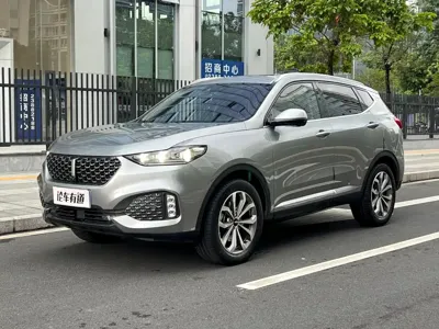 WEY Wey VV6