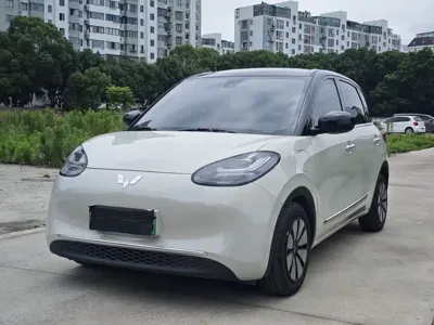 Wuling Bingo
