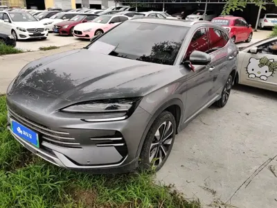 BYD PLUS New Energy