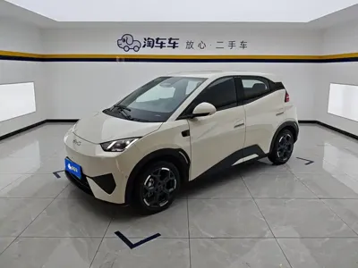 BYD Seagull