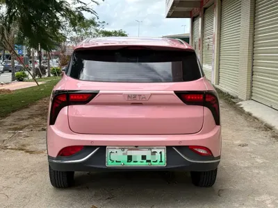 NETA Neta V