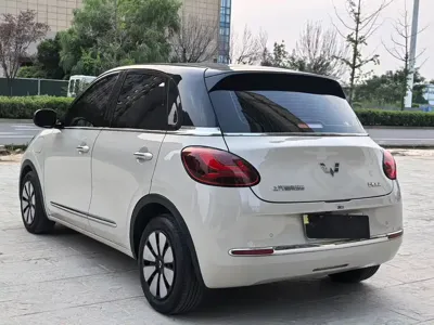 Wuling Bingo