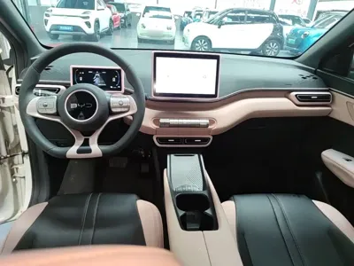 BYD Seagull