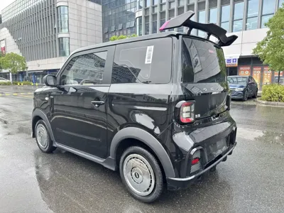 Galaxy Panda