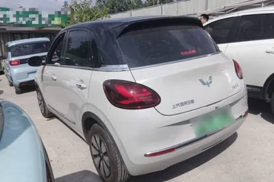 Wuling Bingo