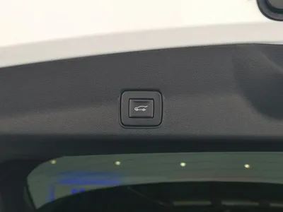 ChevroletGMDaewoo Trailblazer