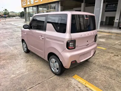 Galaxy Panda