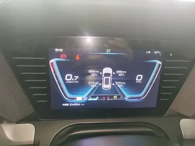 BYD Pro