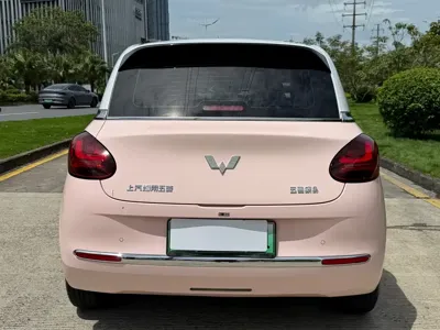 Wuling Bingo