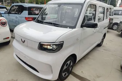 Wuling Zhiguang New Energy