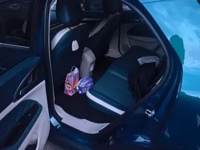 ORA Ora Good Cat