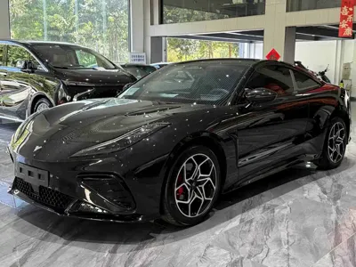 NETA Neta GT