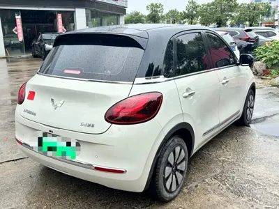 Wuling Bingo