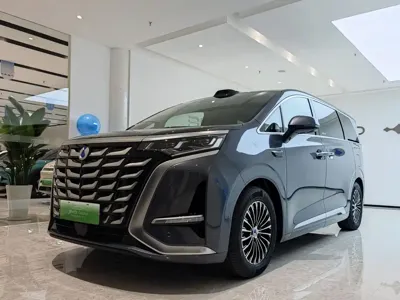 Denza Denza D9