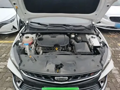 Geely Binrui