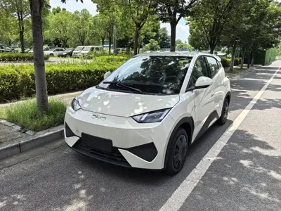 BYD Seagull