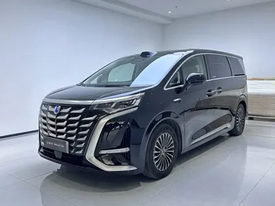 Denza Denza D9