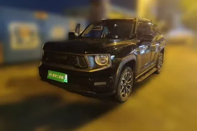 Haval H Dog New Energy