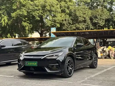 BYD L EV