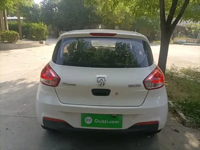 Baojun 310