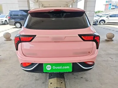 NETA Neta V