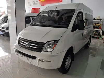 Maxus V80