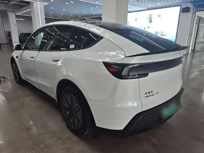 Tesla Model Y L