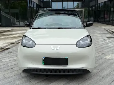 Wuling Bingo
