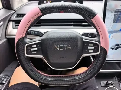 NETA Neta V