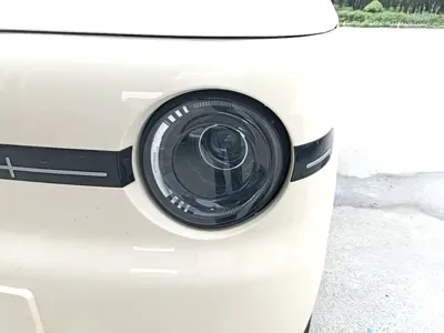 Galaxy Panda