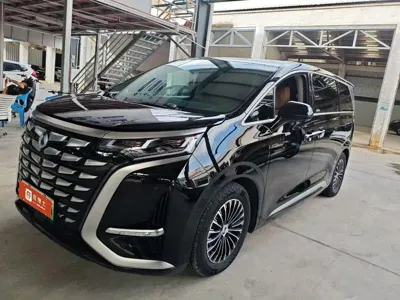 Denza Denza D9