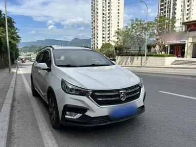 Baojun 310W