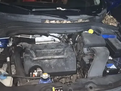 Haval H2s