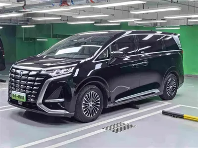 Denza Denza D9