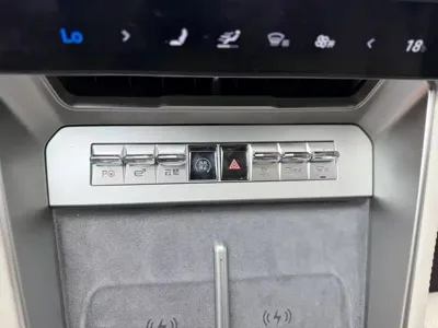 Denza Denza Z9
