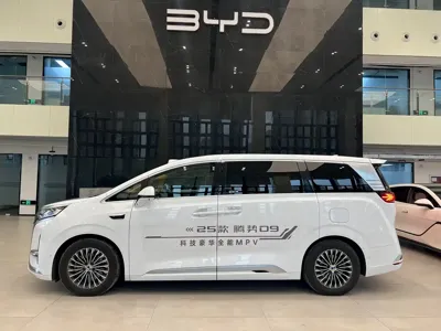 Denza Denza D9