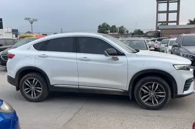Geely Auto Monjaro