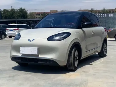 Wuling Bingo