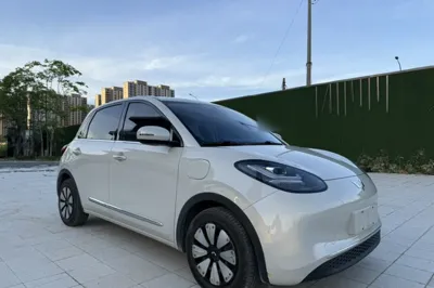 Wuling Bingo