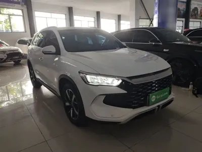 BYD Pro New Energy
