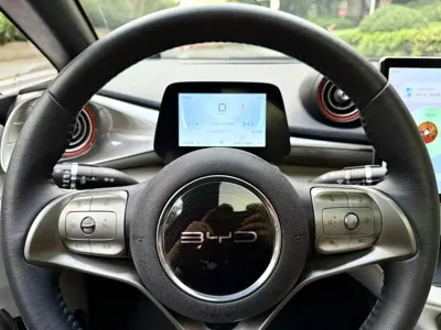 BYD Dolphin