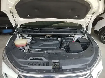 BYD MAX