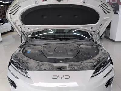 BYD PLUS New Energy