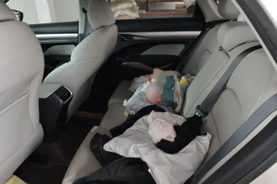 Geely Auto Binray