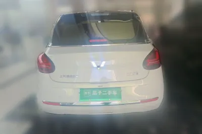 Wuling Bingo