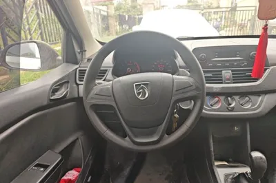 Baojun 310