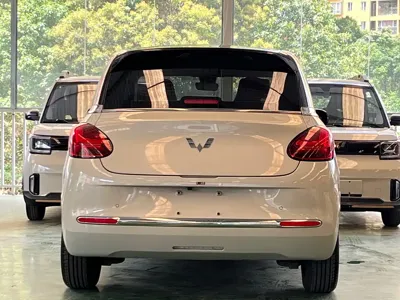 Wuling Bingo