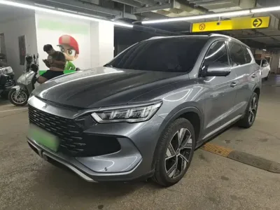 BYD Pro New Energy