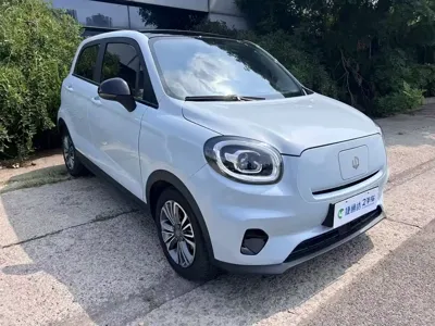 Leapmotor Leapmotor T03