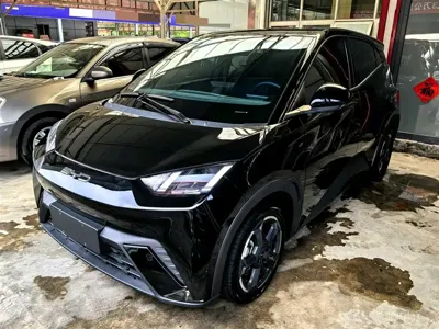 BYD Seagull